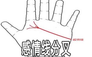 感情线尾端分二叉代表什么