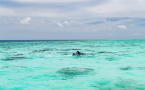 紫微斗数天巫是什么意思