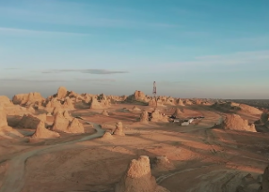 属兔女结婚当天忌讳的属相