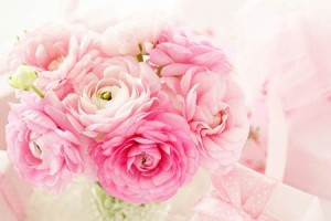 客厅养什么花最招财