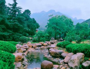 坟墓进水如何化解