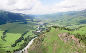  十二地支子水的特性是什么