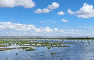 长流水命的命运