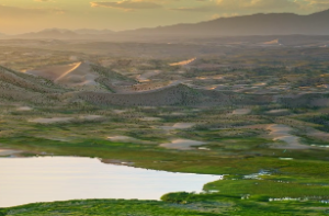 福德宫有什么星最好