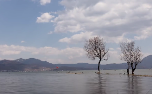  子时出生是什么时辰