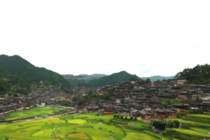 离为火卦详解卜易居