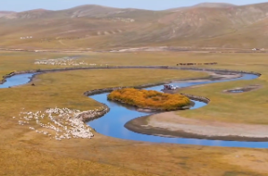 女杨柳木命和男白蜡金命