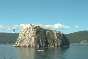 太阴化忌说明什么