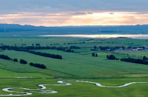 井泉水和壁上土