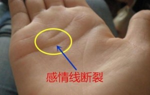 感情线断开上下两条代表什么