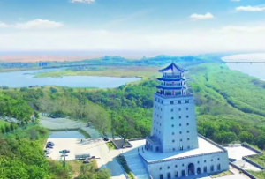 紫微斗数马落空亡格条件