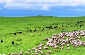 钗钏金命最怕什么克