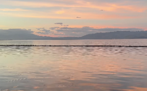 八字十神偏财的含义是什么