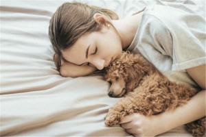 女人梦到狗死了代表什么