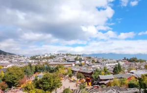  地支中巳火之象征 