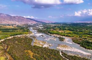井泉水和什么命在一起