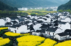 火命的人戴什么会旺财