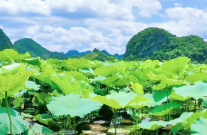 戌时是几点到几点钟属什么