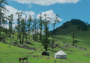 紫微斗数桃花运势解析