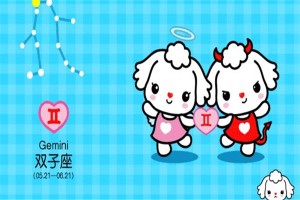 双子座和什么座