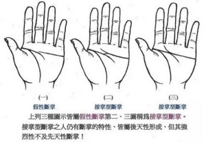 感情线和智慧线相交但未横穿手掌