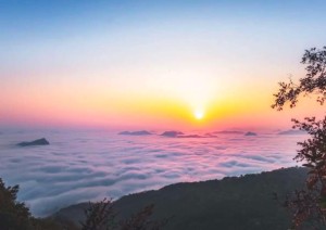 风水 水龙