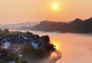 伤官生财的人特征