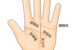 事业线是女生的哪里