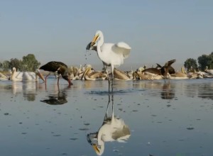 婚后一直不顺怎样才能转运