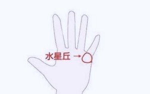 水星丘有横线代表什么