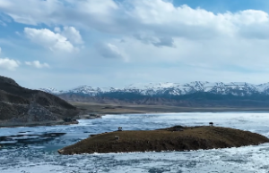 1978年马女一生的婚姻