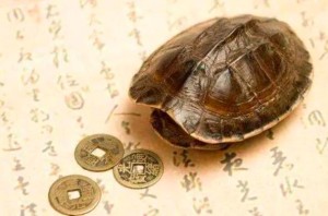 五行缺金怎么补