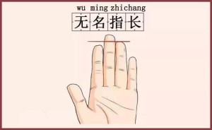 无名指比食指长代表什么意思男