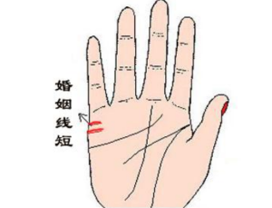 三条婚姻线怎么看图解