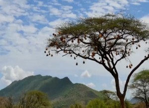 十神偏财偏印是什么意思