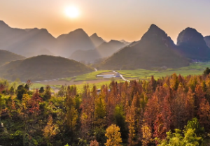 武曲星命运的人好不好