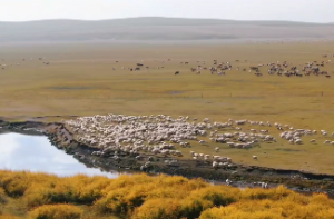 八字木多的人性格特点