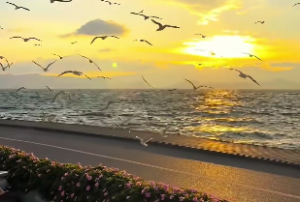 人的一生中能力发展的一般趋势如何