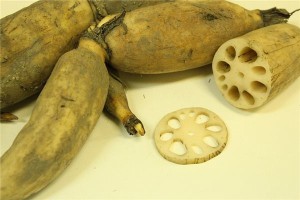 梦见挖莲藕是什么意思？