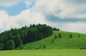 紫微斗数大限与流年的联系