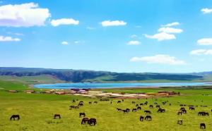 马头带剑是什么意思