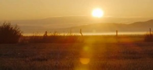 八字里的正财偏财起什么作用