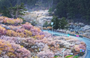 紫微斗数空劫临于身命