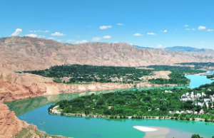 紫微斗数看财源