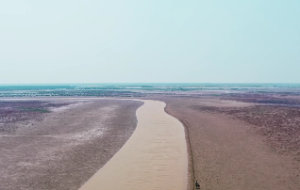 紫微斗数十二宫位详解案例