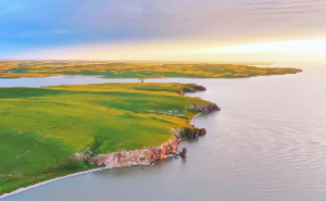 适合投资的紫微斗数盘