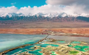 紫薇星盘将军是什么意思