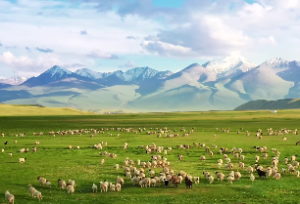 雷天大壮卦预测疾病事情