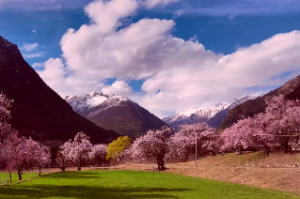 八字土多的人命运怎样