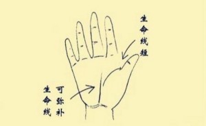 手生命线短是不是寿命短